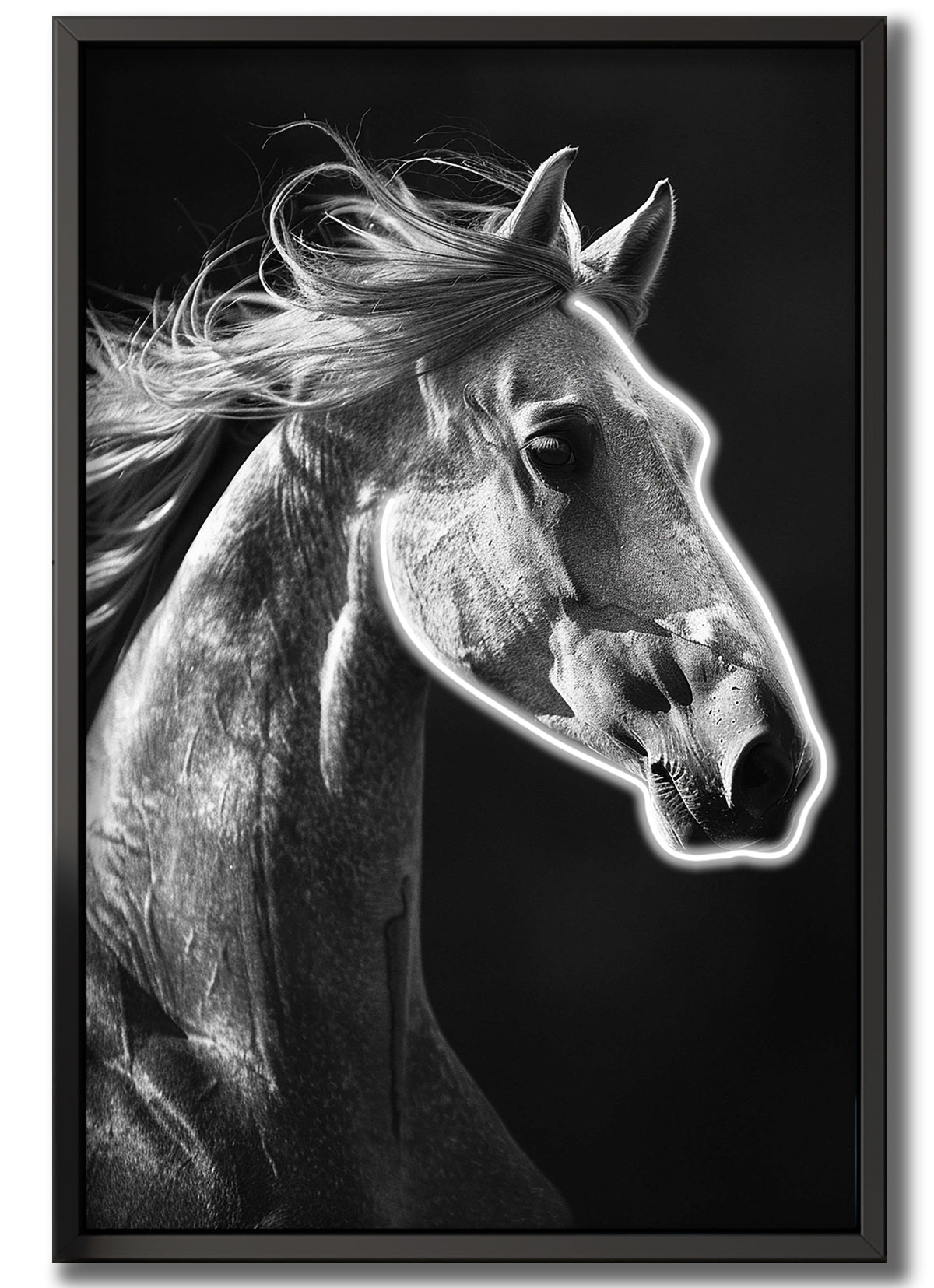 Wall Artwork White Diamond Horse with LED - DG469